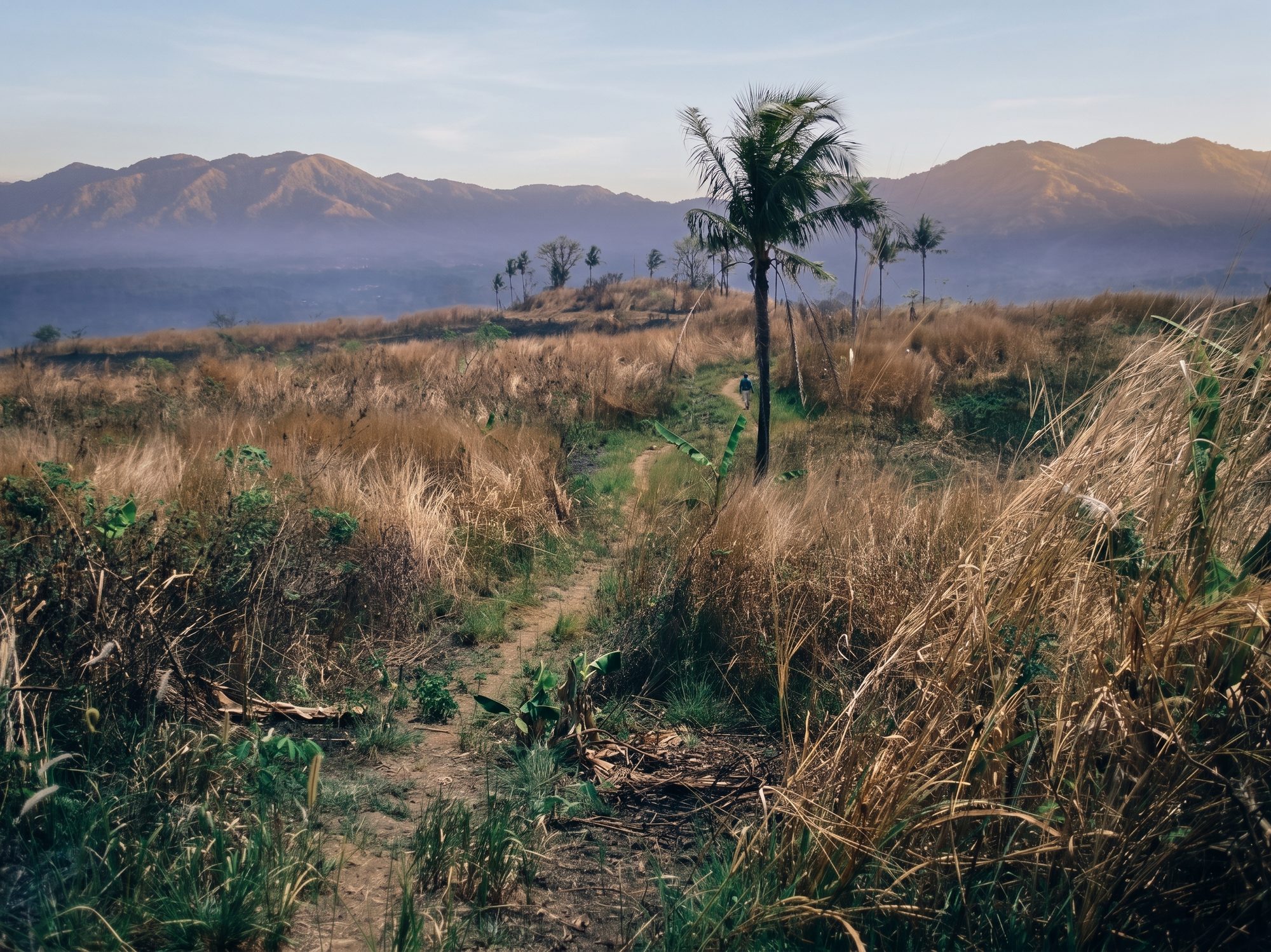 The Sukabumi hillside as it stood in the late 2000s: stripped grassland with a few palms and a faint trail, distant mountains in the background.